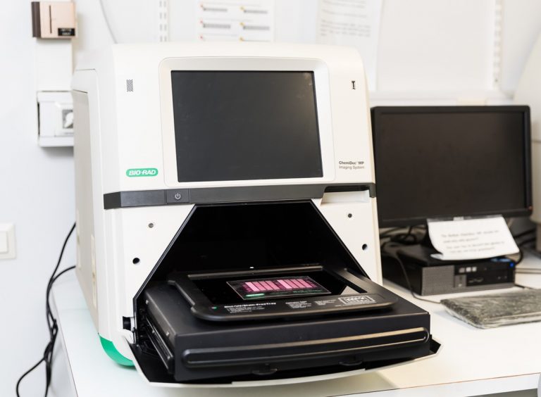 Gel Analysis and Plate Reader Turku Bioscience
