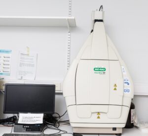 Gel Analysis and Plate Reader – Turku Bioscience