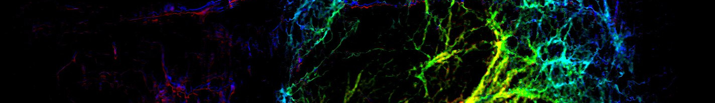Cell imaging