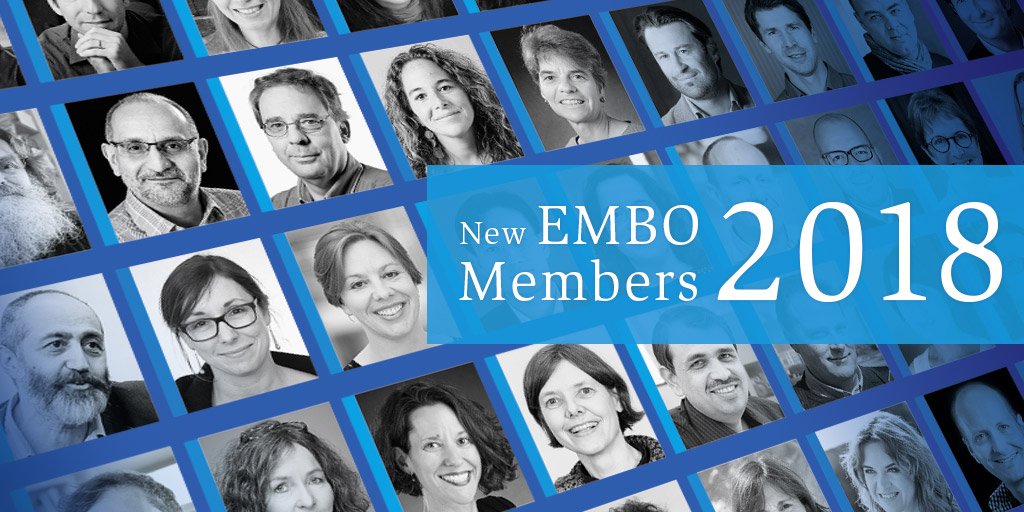 Lea Sistonen elected as new EMBO member