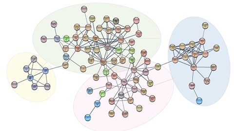 Finnish Scientists Analysed the Proteome of T Helper 17 Cells