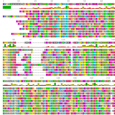New Service at Protein Structure and Chemistry Core: Get Expert Help with AlphaFold2 for Protein Structure Prediction