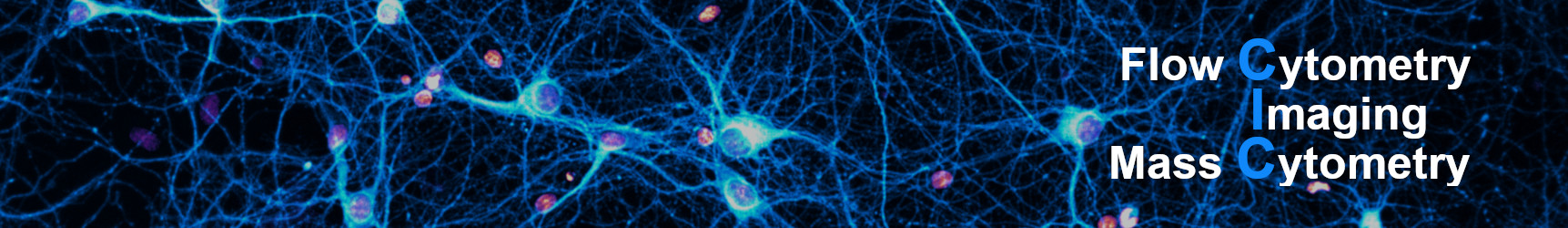 Cell imaging
