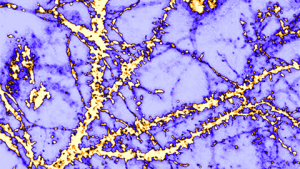 International Collaboration between U.S. and Finnish Researchers Identifies New Approach for Treating Neuropathic Pain