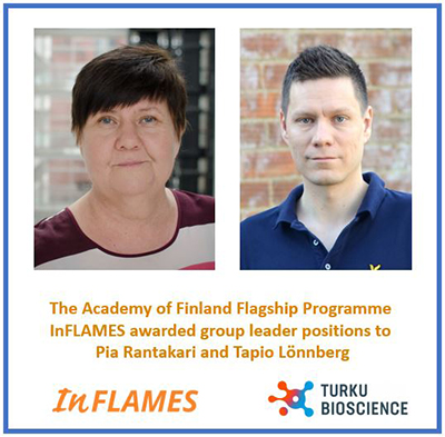 The Academy of Finland Flagship Programme InFLAMES awarded group leader positions to Pia Rantakari and Tapio Lönnberg