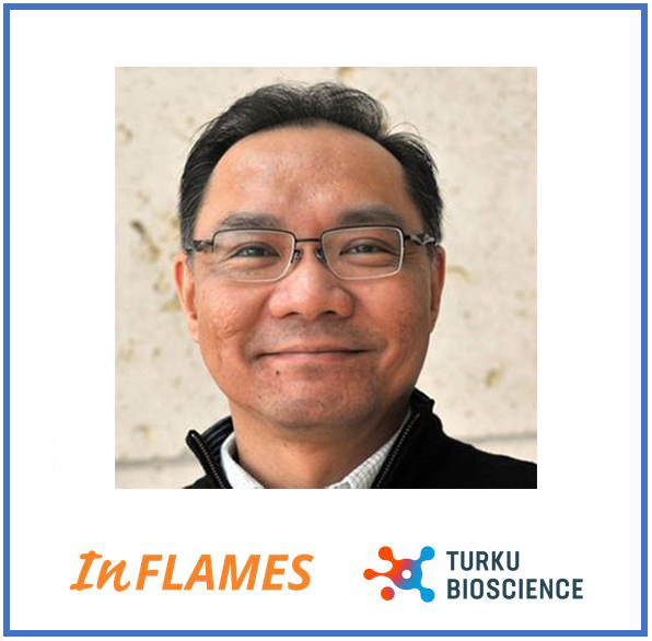 InFLAMES Visiting Professor lecture by Professor Teng-Leong Chew