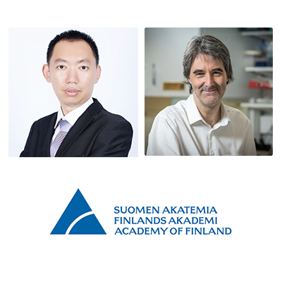 The Academy of Finland funding to Michael Courtney and Hongbo Zhang