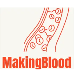 New method for producing blood stem cells can revolutionize stem cell transplant therapy