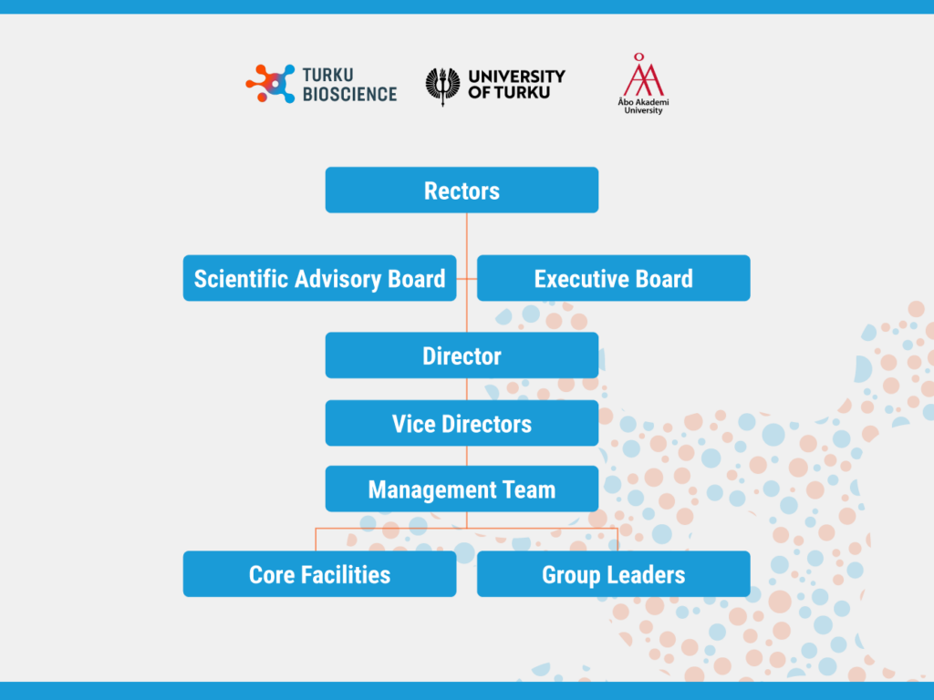 Organisational chart of Turku Bioscience Centre