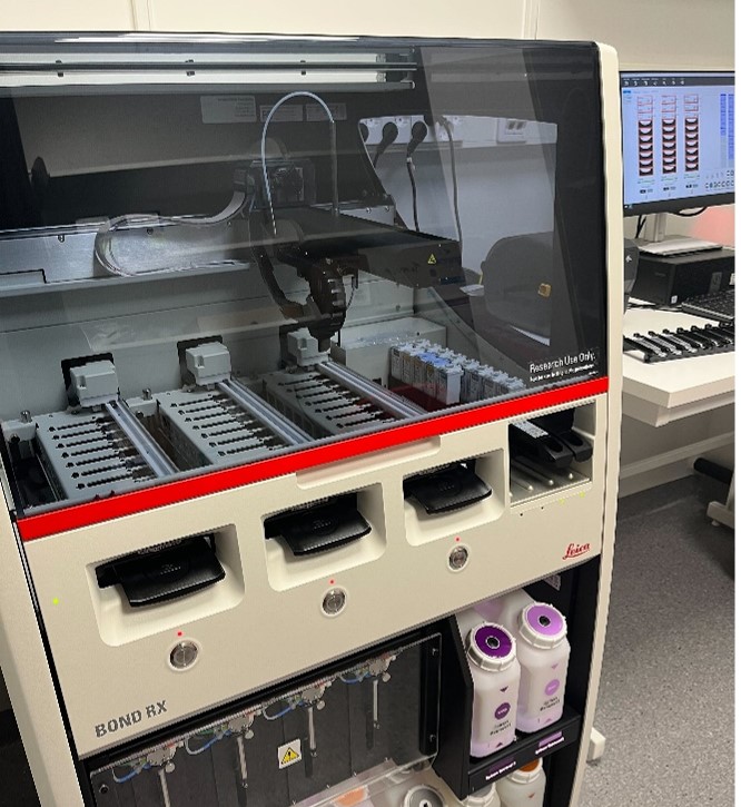 Tissue Multiplex Staining Service